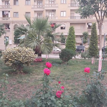 Banu House Apartment Sumqayıt Екстериор снимка