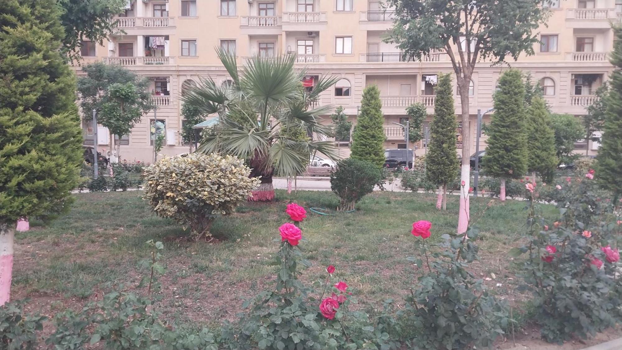 Banu House Apartment Sumqayıt Екстериор снимка