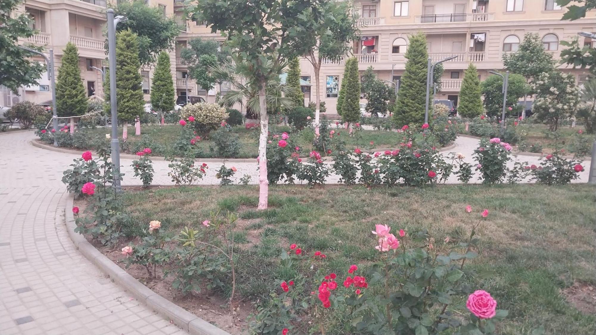 Banu House Apartment Sumqayıt Екстериор снимка